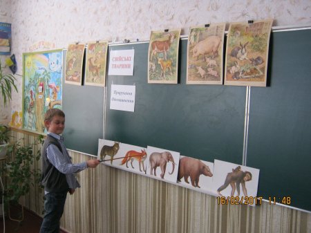 Відкритий урок з природознавства "Свійські тварини" в 3-Б класі