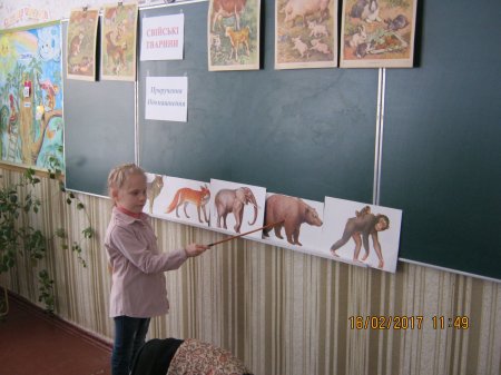Відкритий урок з природознавства "Свійські тварини" в 3-Б класі